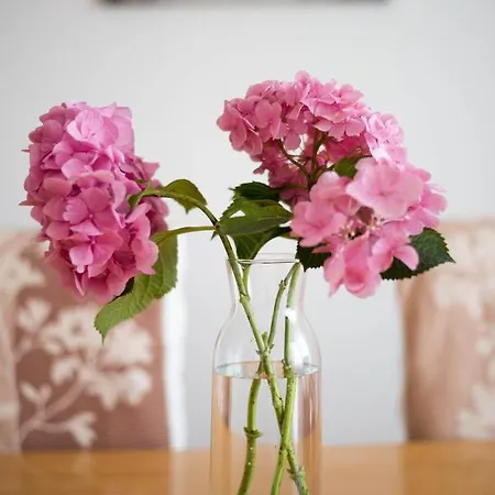 Apartment Wonderplace *