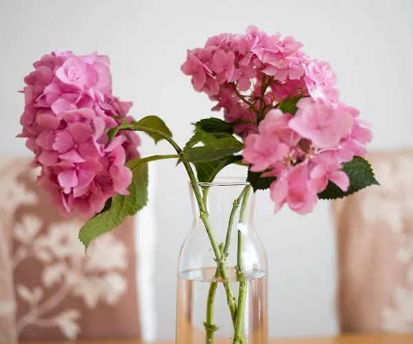 Apartmán Wonderplace *