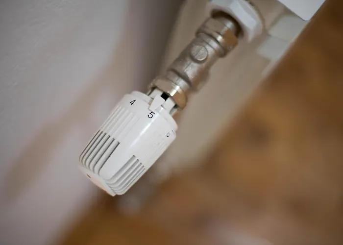 Wonderplace דירה